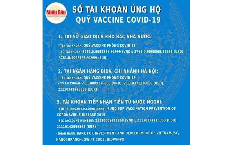 (Đồ hoạ: NDĐT)