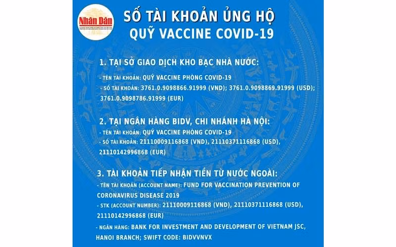 (Đồ hoạ: NDĐT)