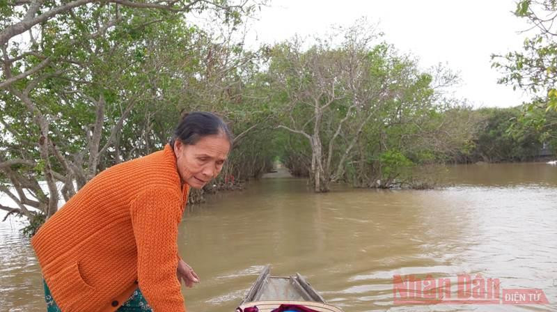 Hơn ba mươi năm qua, bà Hồng đã ở bên, cùng chồng coi sóc rú. Bài 3: Hơn ba mươi năm giữ “tường chắn sóng” cho làng -0