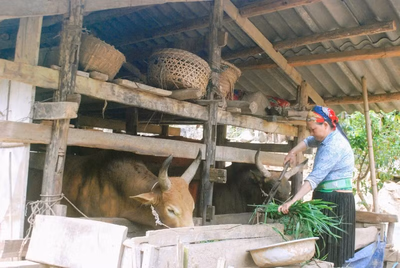 Cao Bằng ngày mới (bài 2) -0