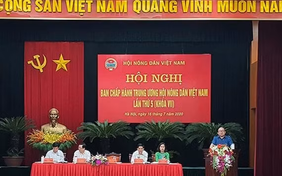Các đại biểu tham dự Hội nghị.
