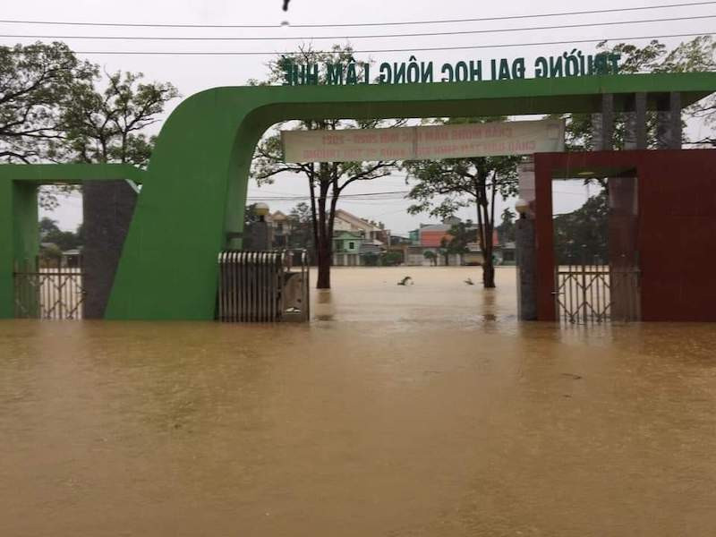 Trường đại học Nông Lâm, Đại học Huế bị ngập sâu 
