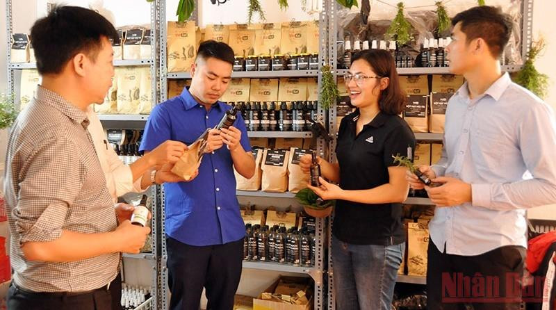 Từ khi tham gia vào Chương trình OCOP, Công ty TNHH dược liệu Việt Kết (Bắc Ninh) có nhiều cơ hội để phát triển sản phẩm cũng như mở rộng thị trường tiêu thụ Phát triển sản phẩm OCOP theo hướng gia tăng giá trị -0