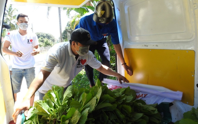 Vận chuyển rau xanh về nơi tập kết. Hơn chục tấn rau xanh ủng hộ người dân Thành phố Hồ Chí Minh -0