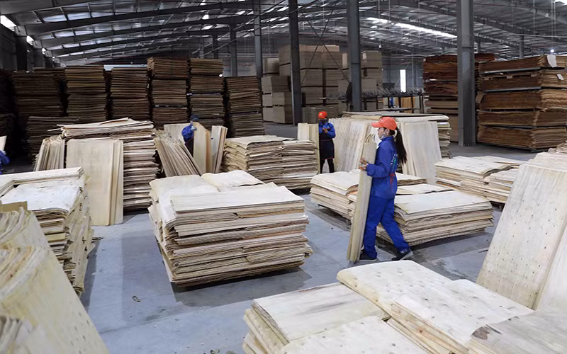 Liên kết để phát triển bền vững
