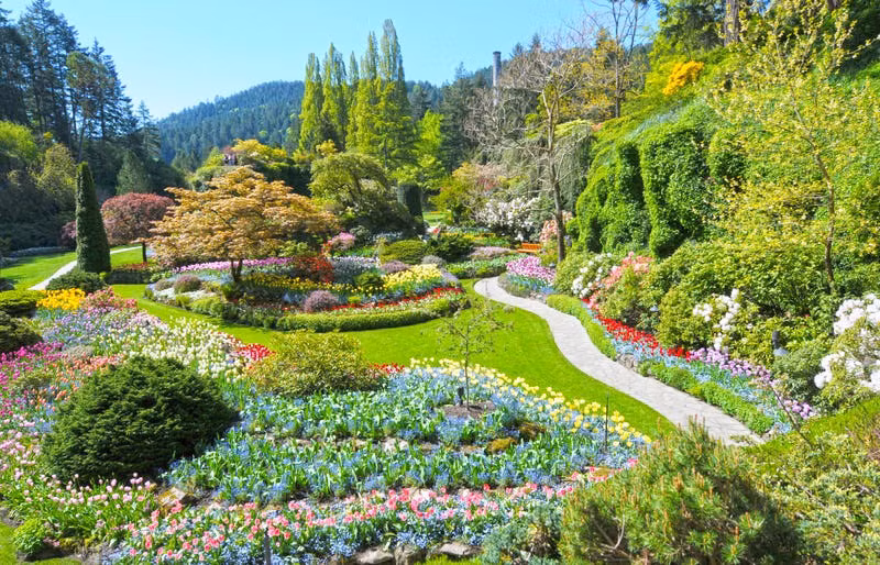 Những khu vườn ấn tượng trên thế giới -1