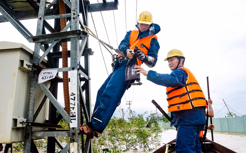 Công nhân điện lực Cẩm Lệ khắc phục sự cố ngay trong mưa bão.