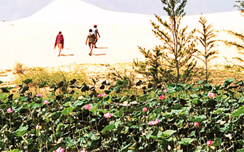 Mênh mông Bàu Trắng