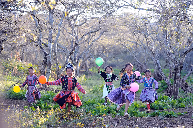 Thiên đường hoa sắc trắng tinh khôi. Ảnh: HOÀNG HẠNH