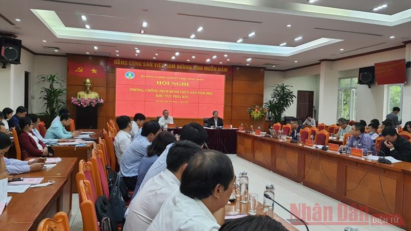 Hội nghị phòng, chống dịch bệnh thủy sản khu vực phía bắc tổ chức ngày 19-3. Tăng cường công tác phòng chống dịch bệnh thủy sản -0