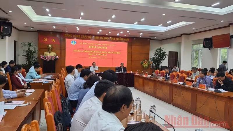 Tăng cường công tác phòng chống dịch bệnh thủy sản -0