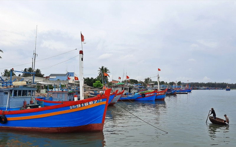 Hàng trăm tàu thuyền đã vào Khu âu thuyền An Hòa (huyện Núi Thành, Quảng Nam) để tránh trú. Quảng Nam kêu gọi đưa 129 tàu cá hoạt động trên biển vào nơi trú ẩn -0