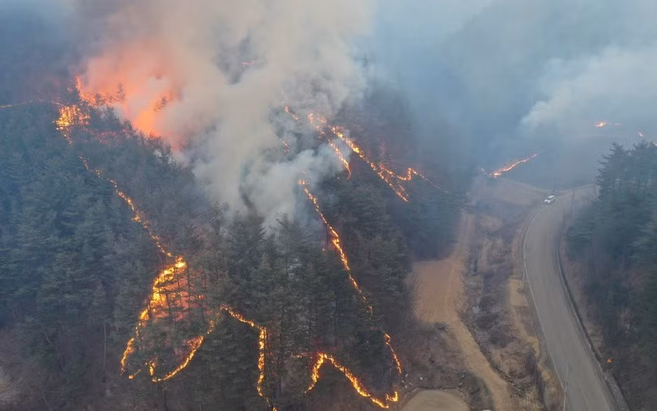 Cháy rừng lan rộng, Hàn Quốc ban bố tình trạng thảm họa -0