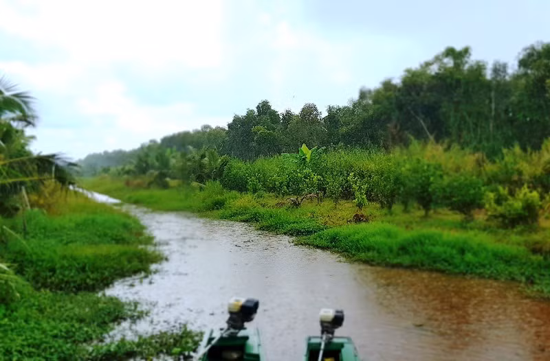 Mưa trái mùa kèm sét đánh tăng nguy cơ cháy rừng ở Cà Mau -0
