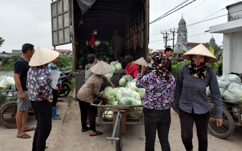 Hội Phụ nữ xã Vũ Vân (huyện Vũ Thư, tỉnh Thái Bình) tập kết rau lên ô-tô chở đi các xã khác tiêu thụ cho bà con nông dân. Tiêu thụ hàng chục tấn nông sản cho bà con nông dân Thái Bình -0