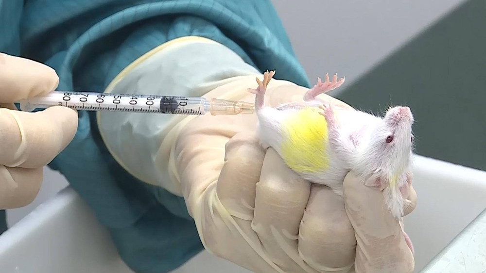 Việt Nam sẽ có ba đơn vị thử nghiệm lâm sàng vaccine Covid-19 trong năm 2021. Việt Nam sẵn sàng thử nghiệm vaccine ngừa Covid-19 trên người -0