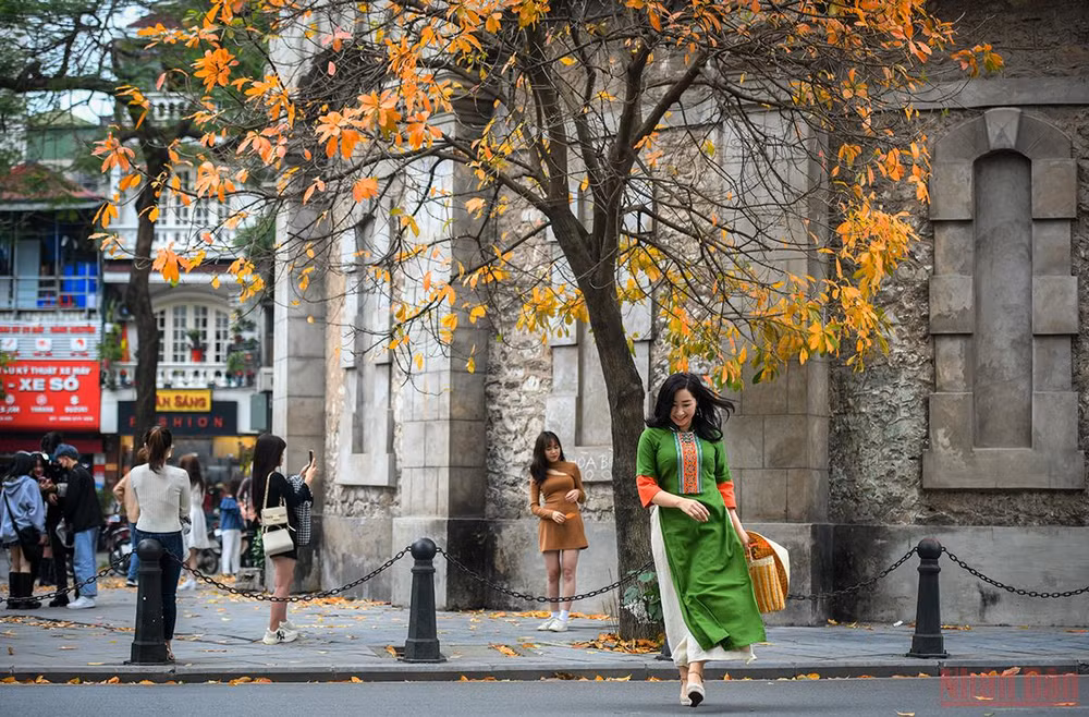 Các chị em không thể bỏ lỡ cơ hội khoác lên mình tà áo dài truyền thống chụp ảnh lưu lại khoảnh khắc tuyệt đẹp Hà Nội mùa thay lá vàng. (Ảnh: THÀNH ĐẠT)