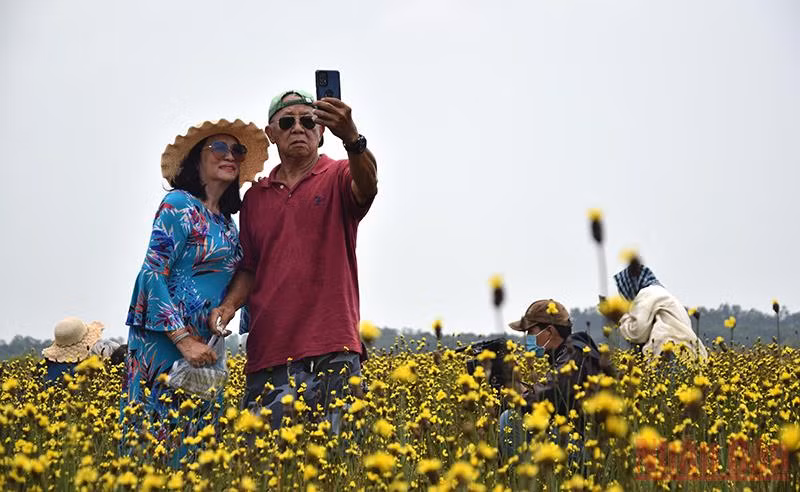 Đánh thức Tràm Chim -0