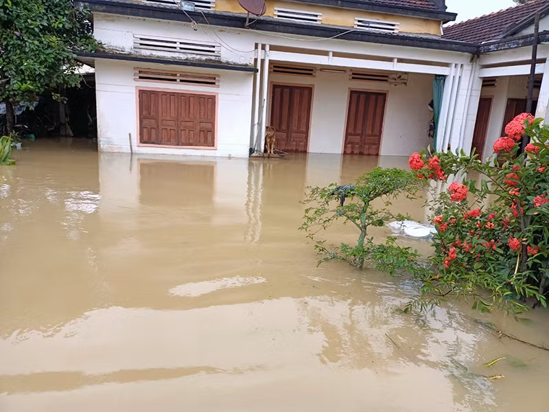 Mưa lớn gây ngập lụt, sạt lở nhiều nơi ở Quảng Ngãi -0