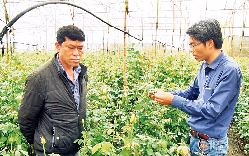 Ông Păng Ting Sin (trái) trò chuyện cùng tác giả trong vườn hoa hồng của gia đình.