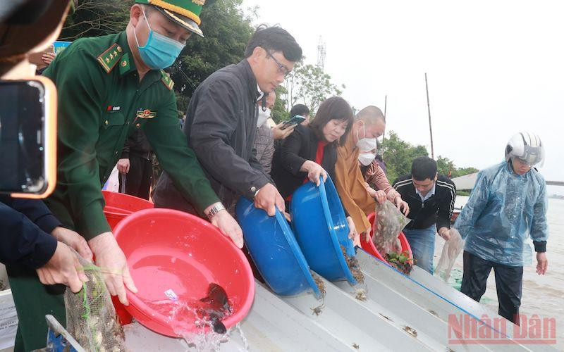 Sở Nông nghiệp và Phát triển nông thôn tỉnh Nam Định tổ chức thả một triệu con giống thủy sản xuống sông Hồng (đoạn qua địa bàn xã Mỹ Tân, huyện Mỹ Lộc) chiều 1/4.