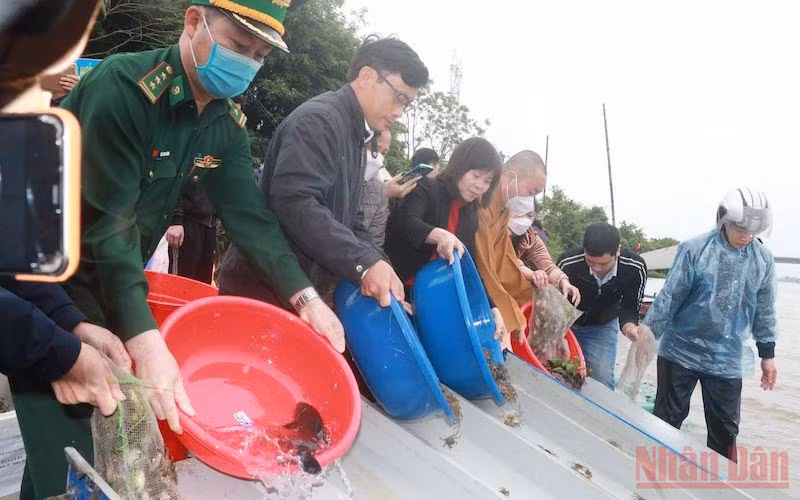 Sở Nông nghiệp và Phát triển nông thôn tỉnh Nam Định tổ chức thả một triệu con giống thủy sản xuống sông Hồng (đoạn qua địa bàn xã Mỹ Tân, huyện Mỹ Lộc) chiều 1/4.