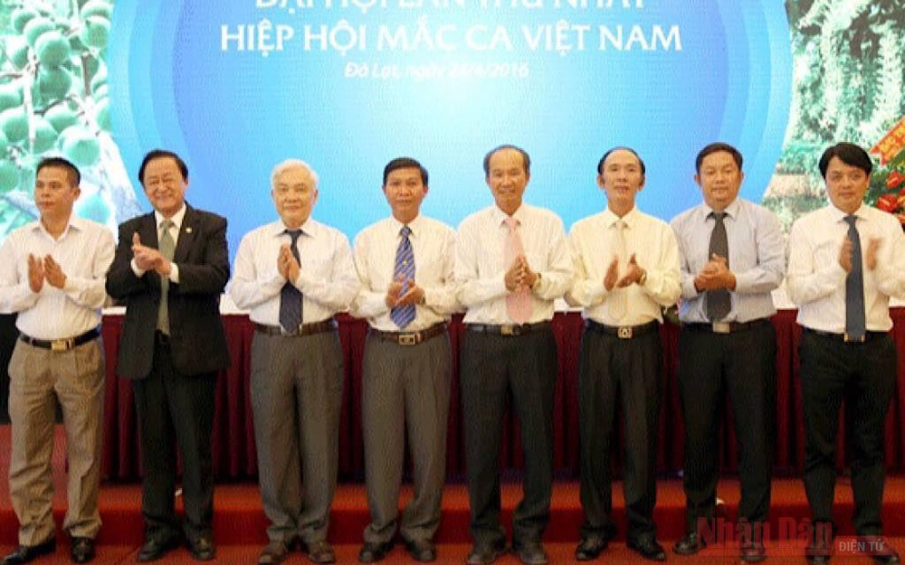 Ra mắt Ban Chấp hành Hiệp hội Mắc-ca Việt Nam năm 2016. Hành trình đẩy “tảng đá” mắc-ca -0
