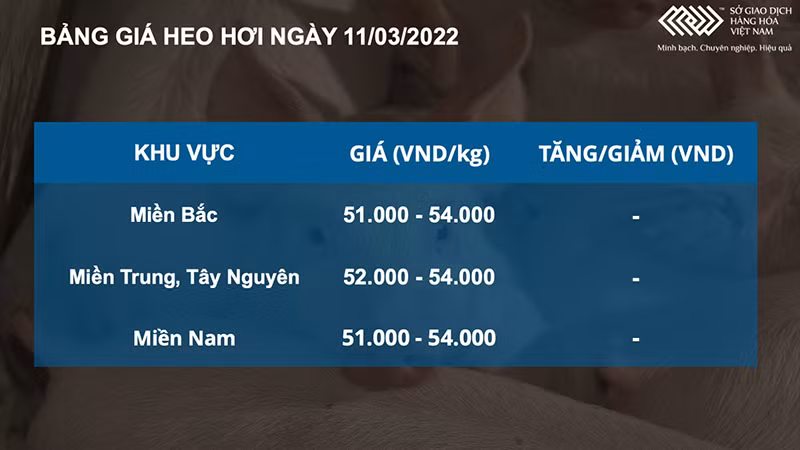 giá heo hơi.jpg -0