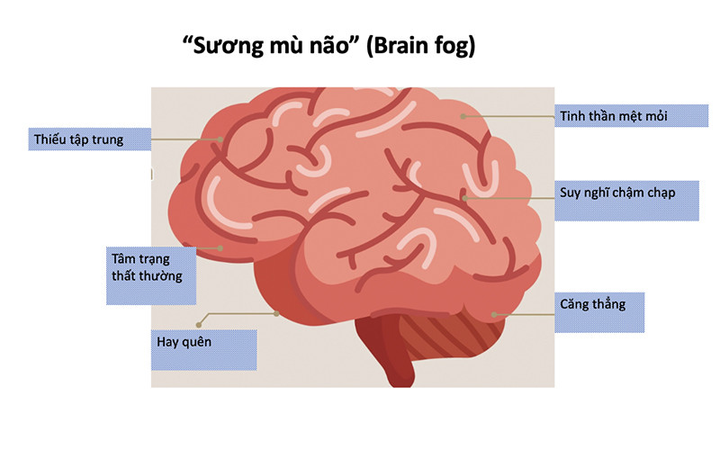 (Ảnh minh họa)