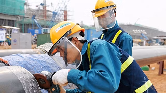 Ảnh minh họa: ĐĂNG KHOA