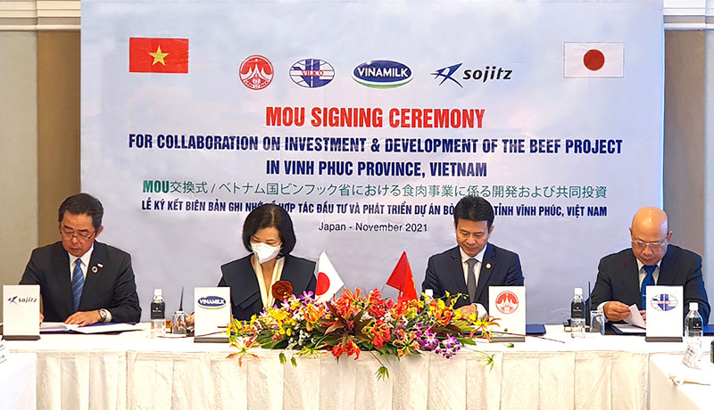 (Từ trái sang) Đại diện Tập đoàn Sojitz, Vinamilk, Tỉnh Vĩnh Phúc và Vilico ký kết biên bản ghi nhớ về hợp tác đầu tư, phát triển dự án chăn nuôi và kinh doanh bò thịt. Vinamilk và Vilico ký thỏa thuận với Sojitz về dự án chăn nuôi và kinh doanh thịt bò tại Việt Nam -0