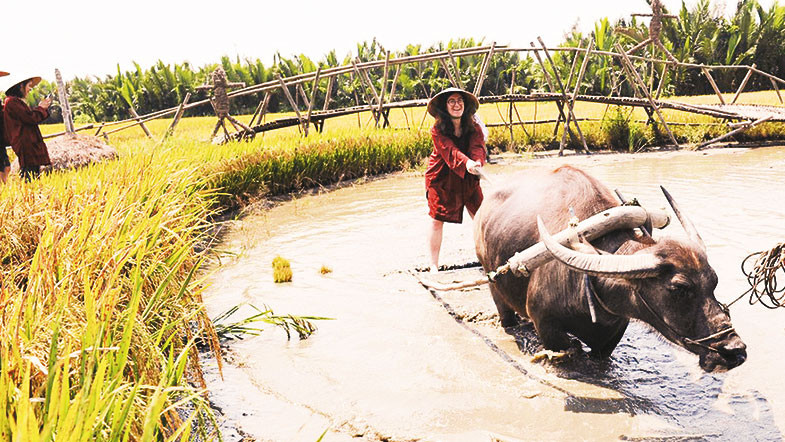 Trải nghiệm nghề nông ở Hội An. Ảnh: ĐOÀN NGUYÊN