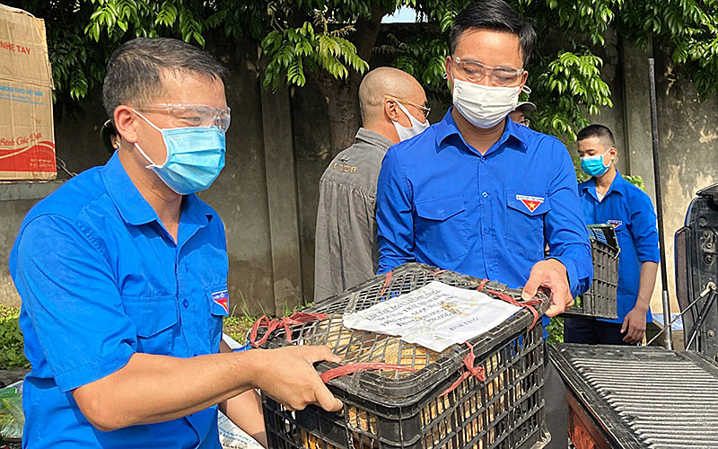 Tuổi trẻ TP Hà Nội và tỉnh Hà Giang phối hợp chuyển 60 tấn nhu yếu phẩm tiếp sức người dân Thủ đô. Tuổi trẻ các tỉnh Hà Giang và Lào Cai hỗ trợ Thủ đô chống dịch -0