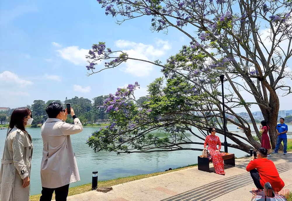 “Đà Lạt mùa màu tím và sương” qua kiến giải của Kỷ lục gia-Tiến sĩ Phạm S -0