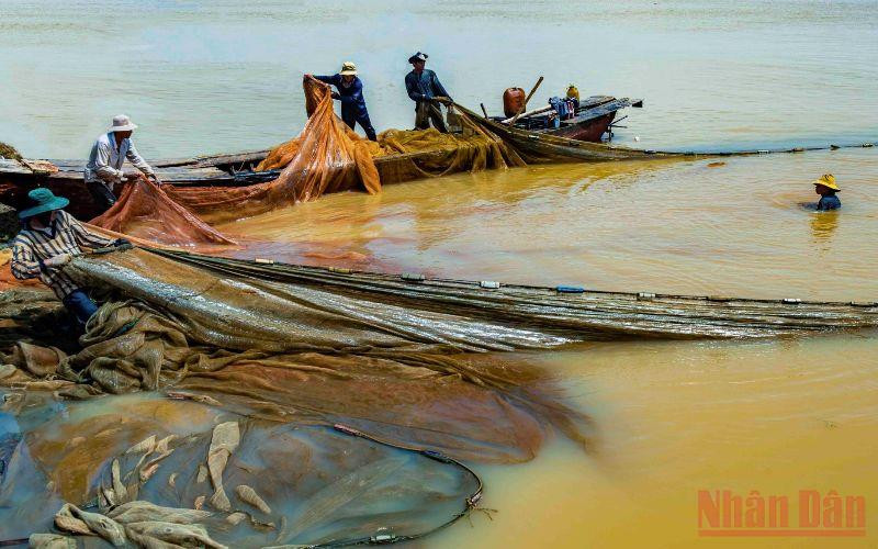Khi nước cạn, việc kéo lưới để bắt thủy sản của ngư dân mưu sinh trên hồ thực hiện dễ dàng hơn. Bến Nôm đẹp ngỡ ngàng mùa nước cạn -0