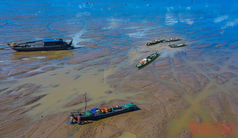 Có những thời điểm nước cạn trơ đáy, chỉ còn những vũng nước nhỏ, ngư dân chỉ cần đi bộ trên mặt hồ để bắt thủy sản. Bến Nôm đẹp ngỡ ngàng mùa nước cạn -0