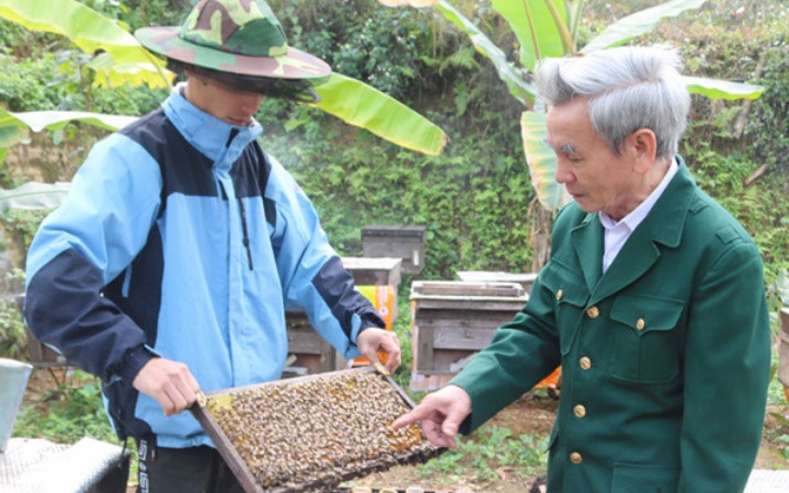 Các thành viên Công ty ong miền núi Thanh Xuân (tỉnh Lào Cai) đang kiểm tra đàn ong , bảo đảm chất lượng mật đạt tiêu chuẩn theo quy định. anhbaiky1_2-1594008985933.jpg