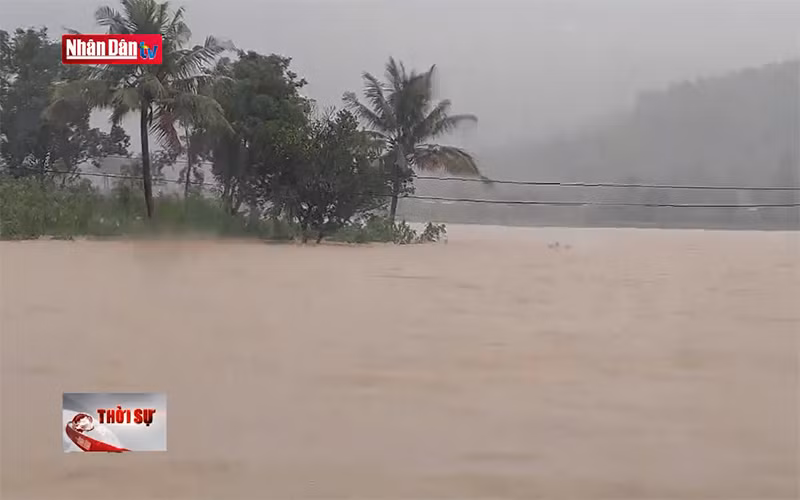 Hàng nghìn người dân Phú Yên phải di dời khẩn cấp
