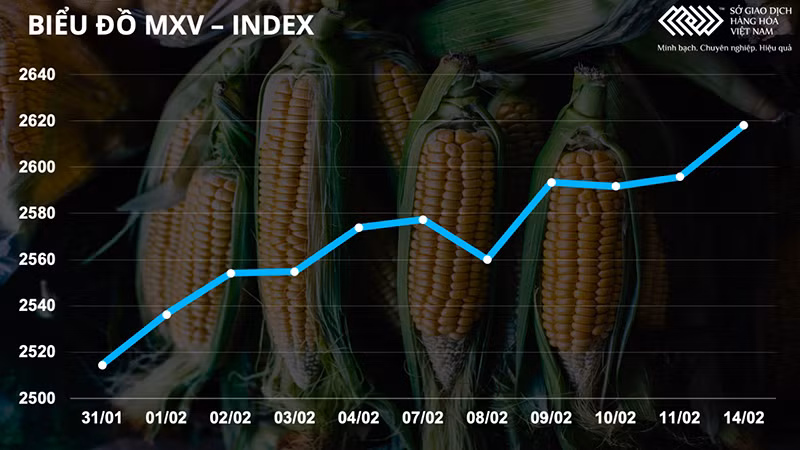 Giá dầu thô lại bùng nổ, dẫn đầu đà tăng thị trường hàng hóa -0