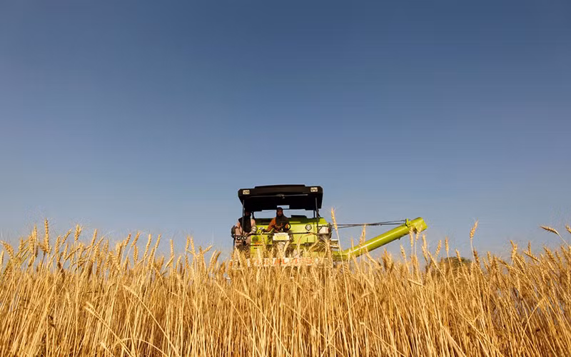 Ảnh minh họa. (Nguồn: Reuters)