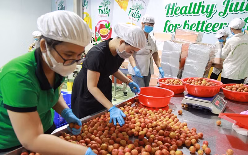 Sớm giải quyết dứt điểm tình trạng ùn tắc nông sản ở cửa khẩu -0