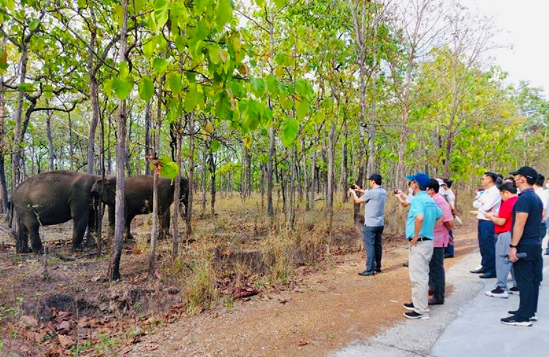 Đoàn công tác của Sở Du lịch, các doanh nghiệp kinh doanh du lịch của tỉnh Khánh Hòa đã tham quan, khảo sát tại Vườn quốc gia Yók Đôn. Tăng cường kết nối du lịch giữa Đắk Lắk và Khánh Hòa -0