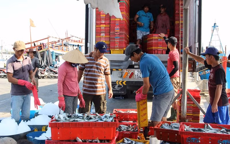 Giá trị khai thác hải sản của ngư dân tăng theo từng năm.