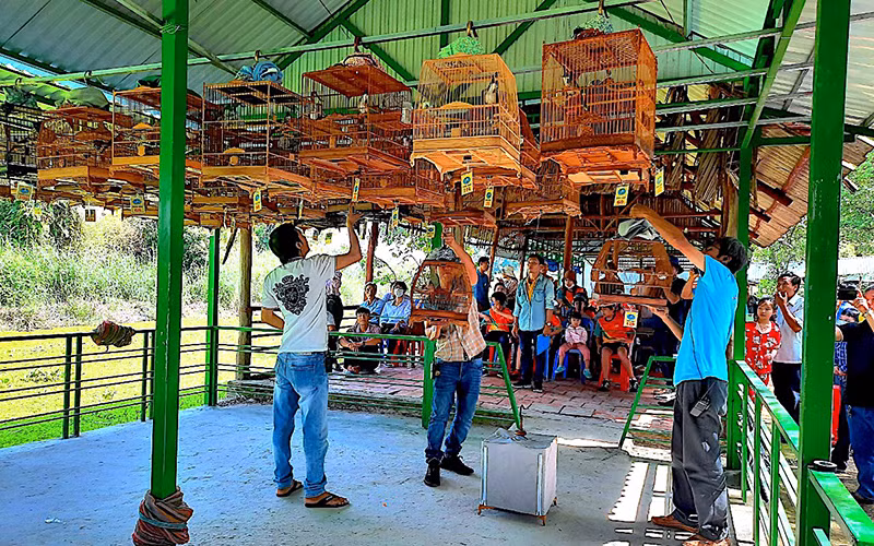 Các nghệ nhân mang chim cảnh vào khu vực thi đấu.