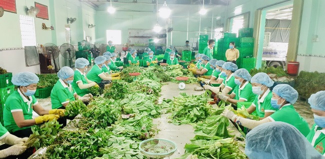 HTX Nông nghiệp Thương mại dịch vụ Phú Quới, xã Yên Luông, huyện Gò Công Tây, Tiền Giang tham gia cung cấp túi combo nông sản. Ảnh: Tổ công tác 970.