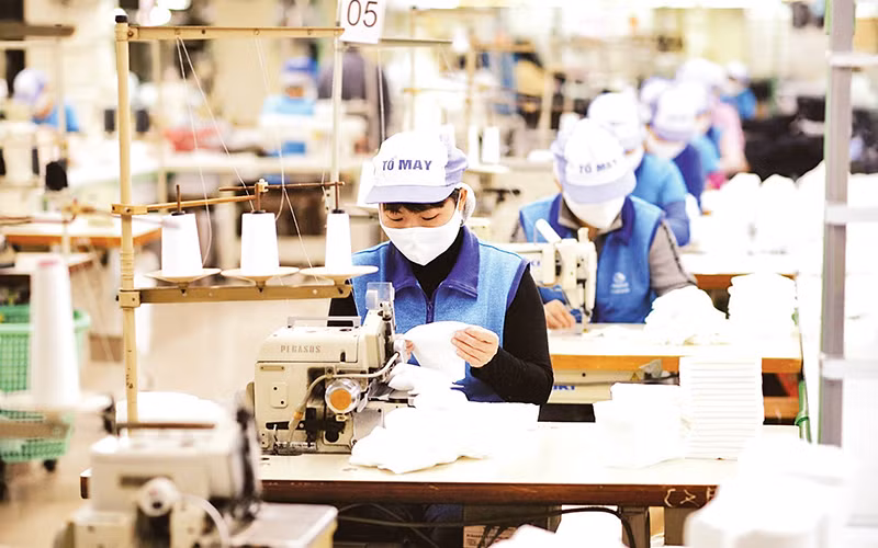 Mất việc làm, giảm thu nhập - nỗi lo mùa dịch -0