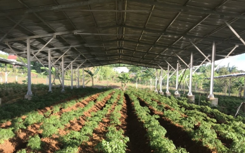 Cần giải pháp bảo đảm quyền lợi của người dân và doanh nghiệp đầu tư điện mặt trời mái nhà tại Kon Tum ảnh 1 Người dân và doanh nghiệp đầu tư điện mặt trời mái nhà tại Kon Tum kêu cứu -0