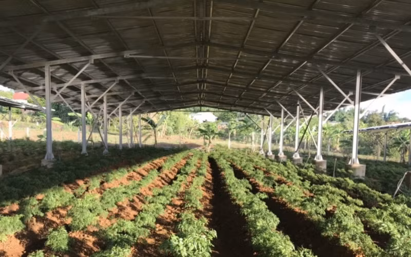 Người dân và doanh nghiệp đầu tư điện mặt trời mái nhà tại Kon Tum kêu cứu -0