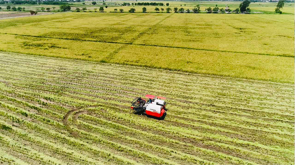 Những cánh đồng mẫu lớn trồng lúa của TH tại Thái Bình sẽ cung cấp một phần nguyên liệu cho Nhà máy Chế biến thực phẩm sạch TH. Bên cạnh đó là các nguồn nguyên liệu liên kết trồng với người dân địa phương. Ảnh: (TH) TH xây dựng nhà máy chế biến thực phẩm sạch hiện đại nhất Việt Nam -0