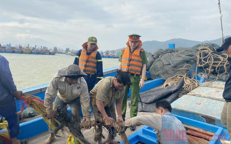 Kiểm tra, nhắc nhở tàu thuyền neo đậu tránh bão. Đà Nẵng ưu tiên sơ tán tại chỗ tránh bão Vamco -0